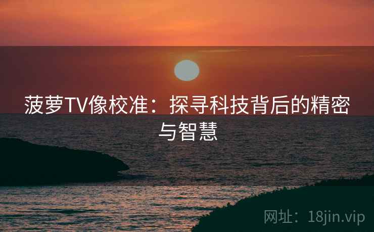 菠萝TV像校准：探寻科技背后的精密与智慧